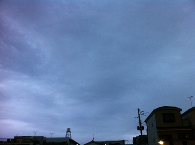 20120216 001.jpg