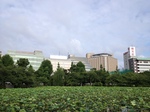 20120629 002.jpg