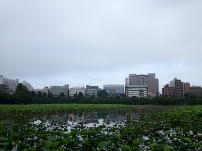 20120703 001.jpg