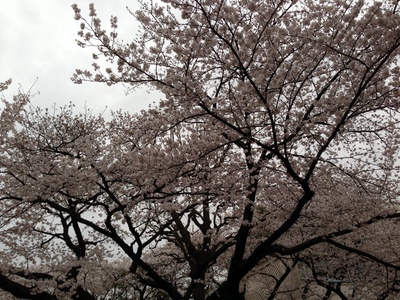 20130327 001.jpg