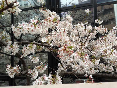 20130327 003.jpg