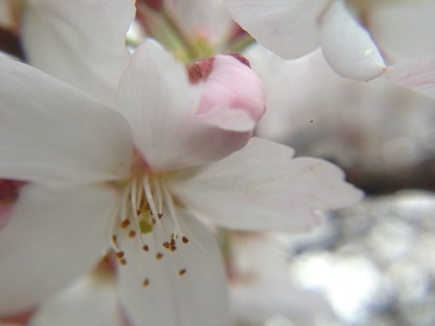 20130329 001.jpg