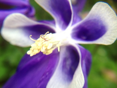 IMG_7686.JPG